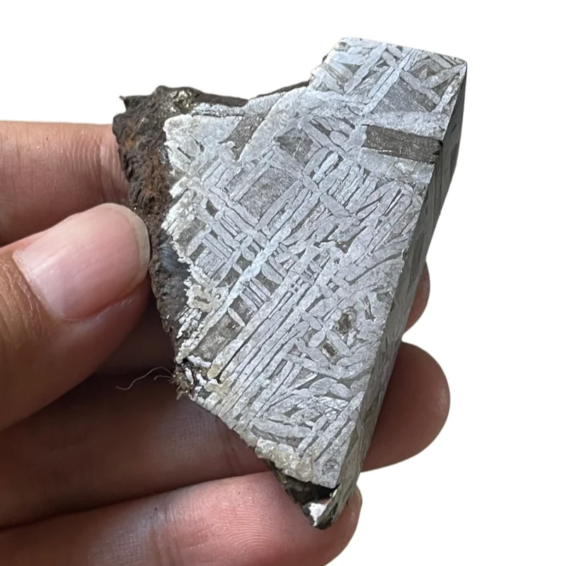 Natural Muonionalusta Meteorite Slab Clear Widmanstätten Crystal Veins Space Mineral Specimen CC237