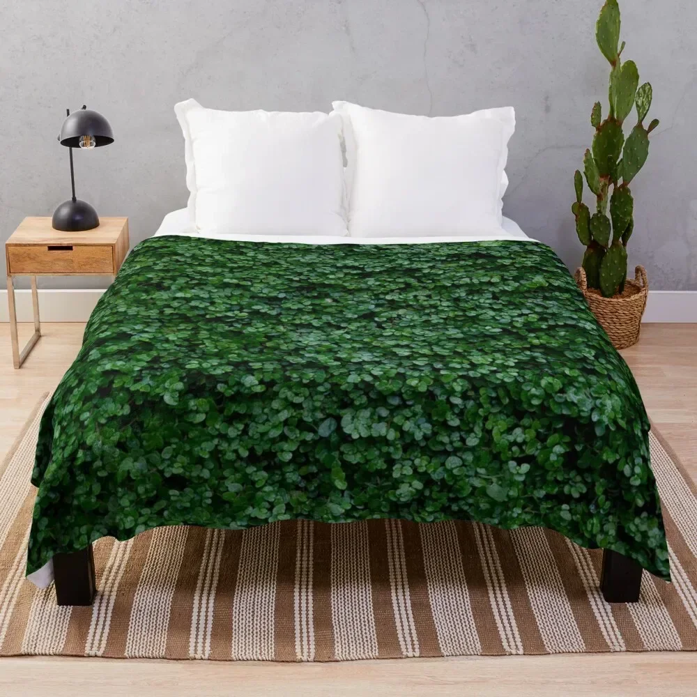 

Small leaves Throw Blanket Softest Luxury Thicken Cute Summer Beddings Blankets
