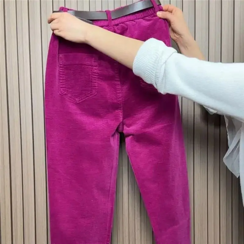 Velvet Harem Pants Women Fashion Casual Corduroy Trouser Spring Autumn Elastic Waist Loose Radish Pant Versatile 4XL