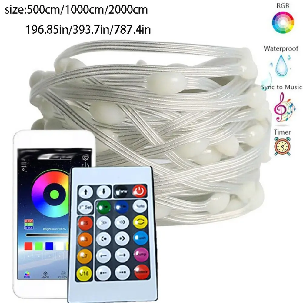 Dreamcolor تغيير LED بلوتوث أضواء الجنية التطبيق التحكم عن بعد 36 فولت RGBIC USB LED قطاع قابل للتعديل الموقت التحكم
