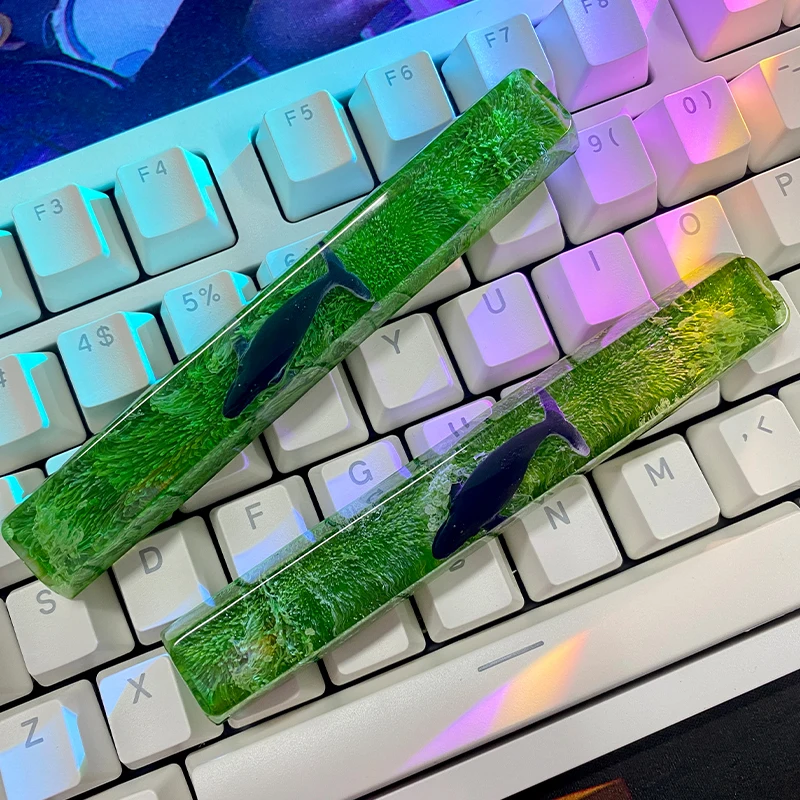 مفتاح مفتاح ecome للحوت ، سبيب - مراجعة Keycaps Spacebar 6.25U Custom وسعره