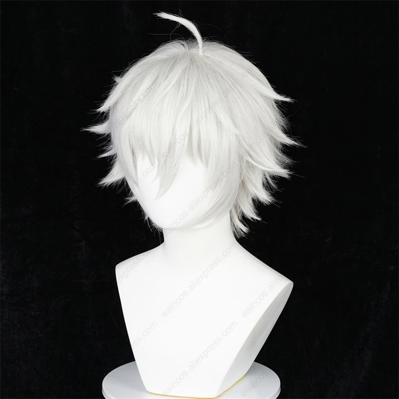 Anime Seishiro Stationary i Cosplay Perruque, Perruques Courtes Blanches Argentées, Degré de Chaleur, Cheveux Synthétiques, 30cm