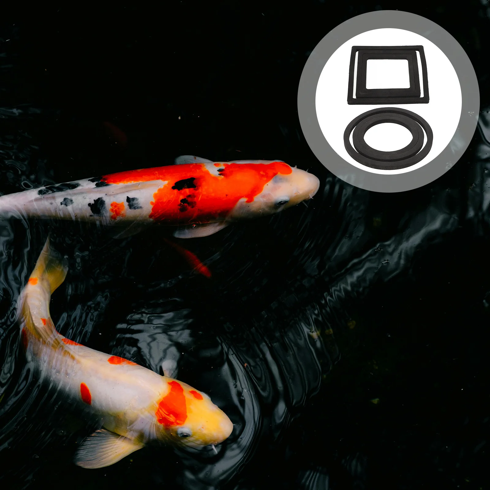 

6Pcs Aquarium Floating Plant Rings Fish Feeding Circles for Tank Duckweed Ring Reusable Floating Feeder for All Size Fish Tanks