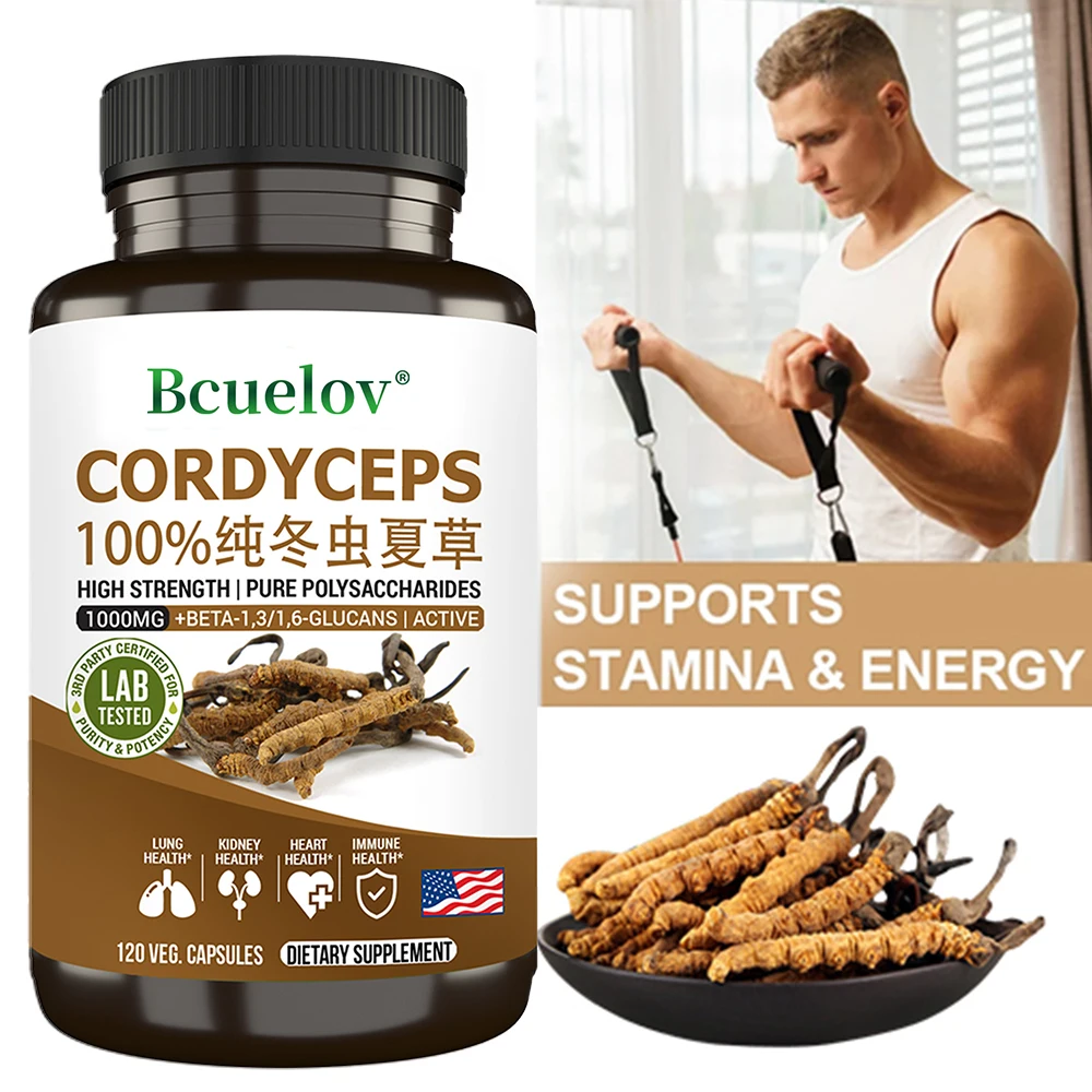 Pure Cordyceps 1000 Mg Supplement - Energy, Respiratory, Immune, Kidney Health Support