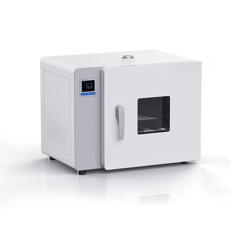 

Blast drying oven, laboratory small electric oven