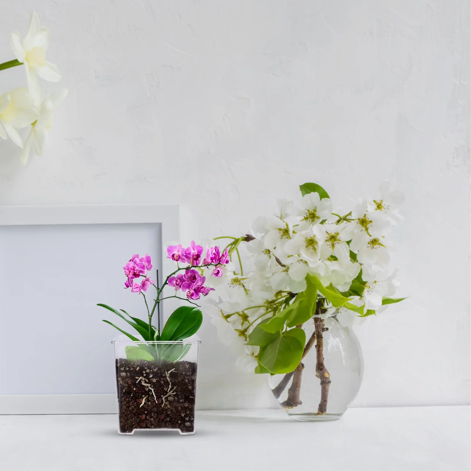 

5Pcs Clear Acrylic Orchid Plant Pots Transparent Nursery Flower Planters with Ventilation for Healthy Root Growth
