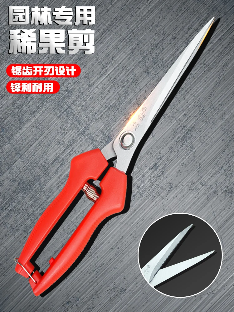 ~Household fruit picking scissors, scissors for picking oranges, special fruit pruning branches and flower pruning tools
