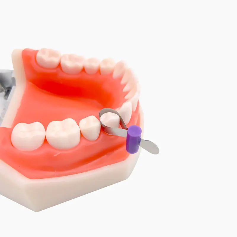 20/50szt Arkusz do formowania dentystycznego Ortodontyczne segmentowe wyprofilowane matryce metalowe Utrwalacz matrycy dentystycznej mniej Automatyka