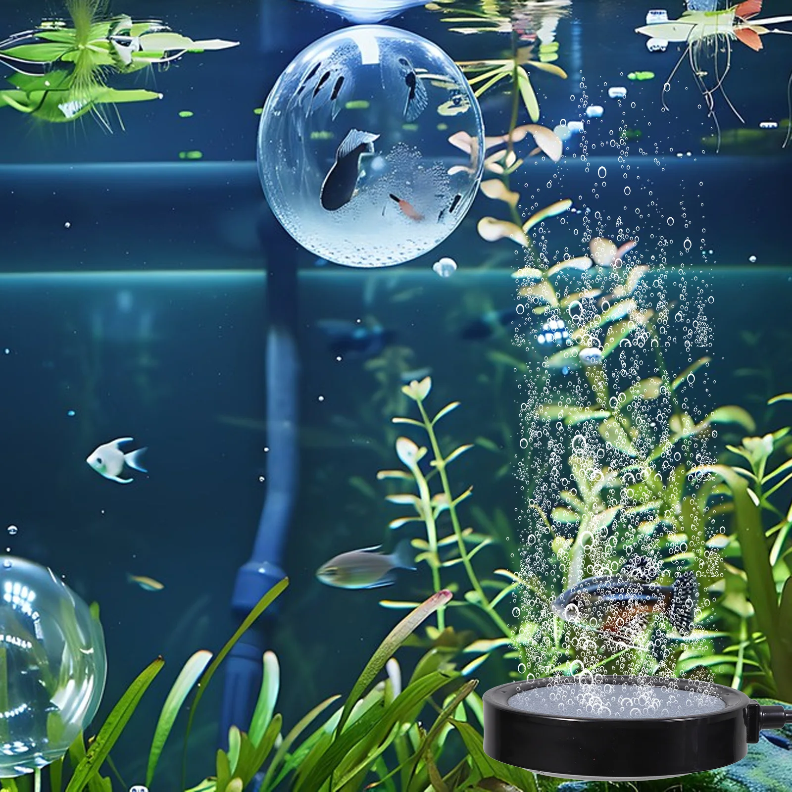 

Air Stone For Fish Tank Tiny Bubble Production Oxygen Aeration Aquarium Bubbler Supplies Durable Hydroponic Use
