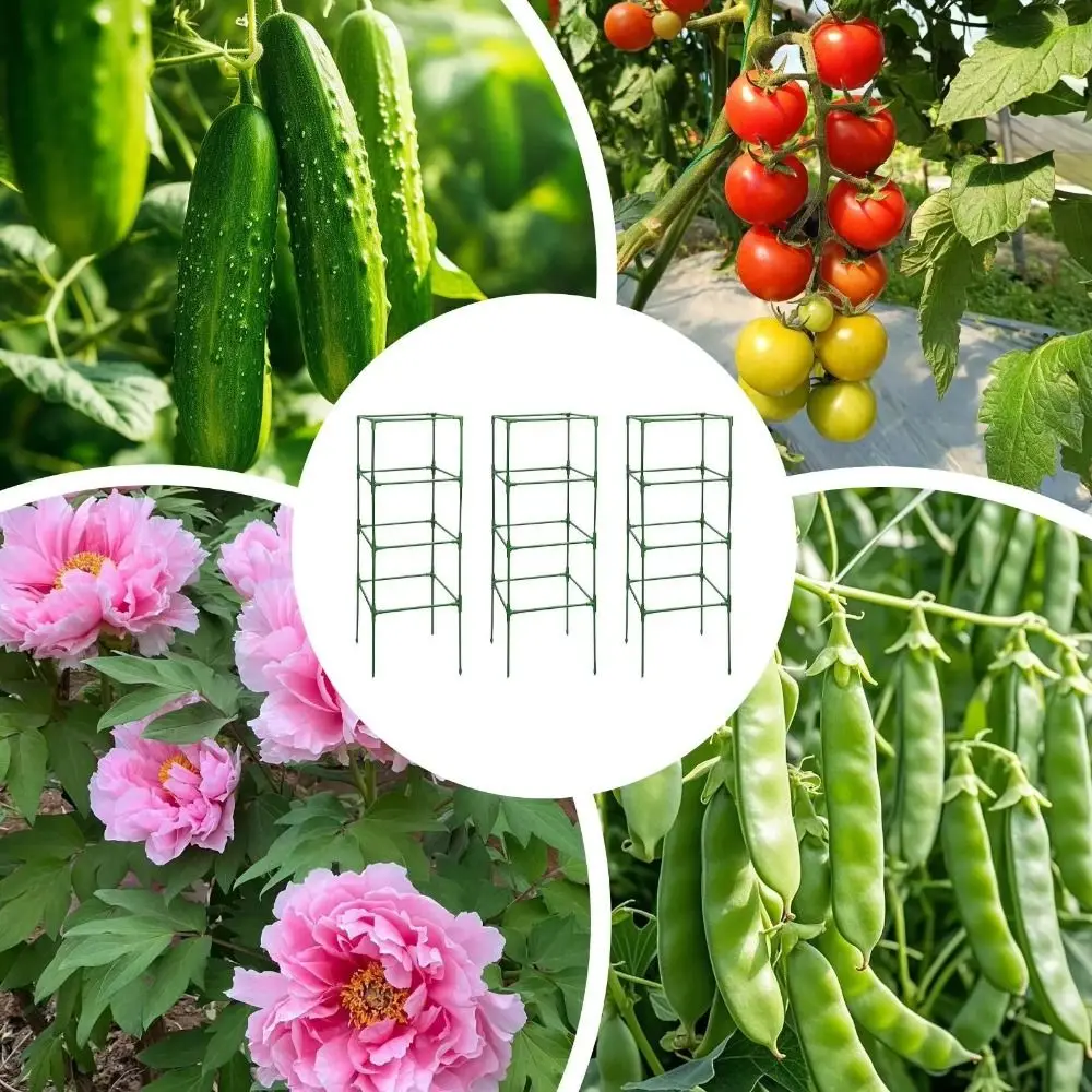 

Durable Plant Climbing Trellis Heavy-Duty Steel Space-Saving Tomato Cages Stackable Stakes Square Design Vegetable Trellis