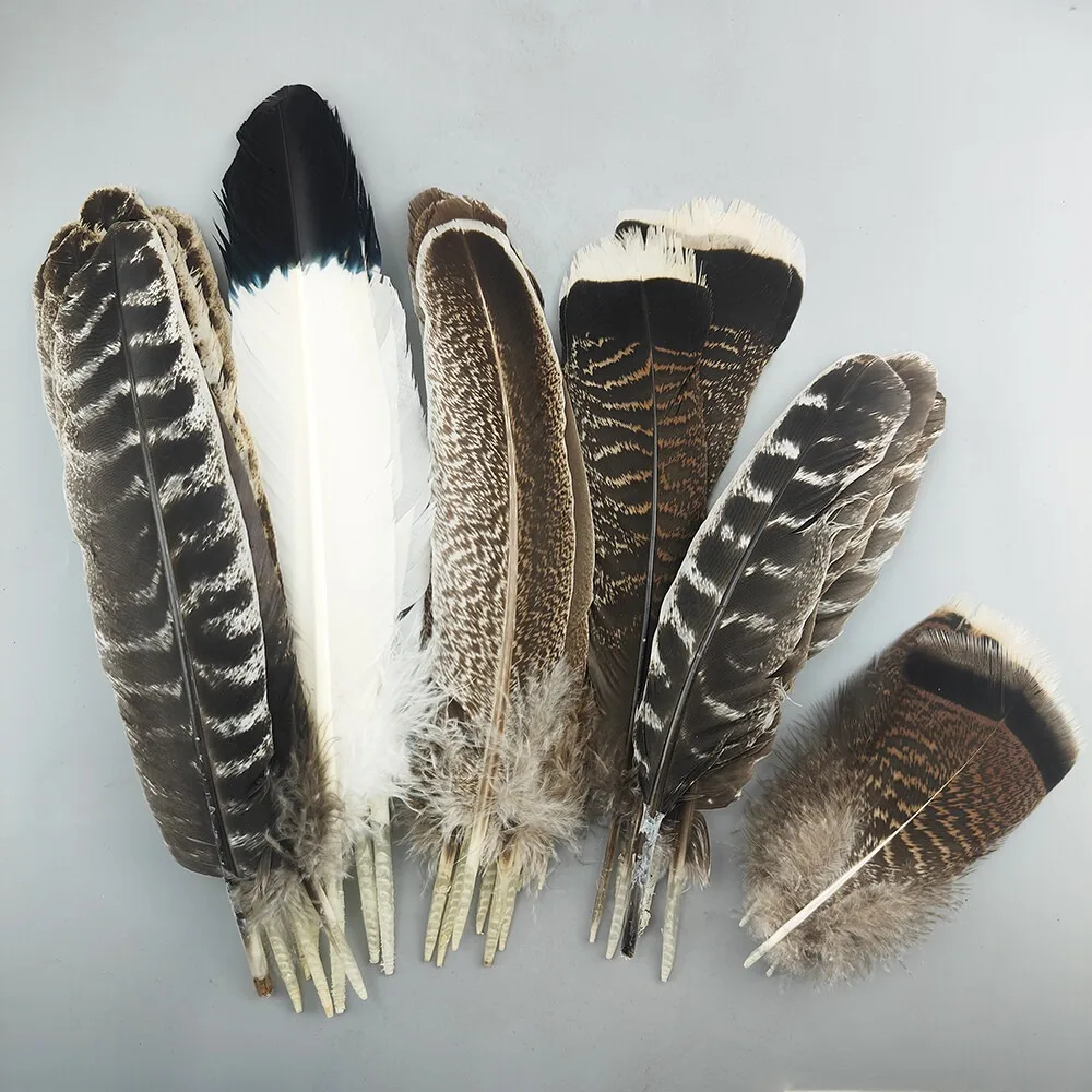 10/50Pcs Natural Turkey Feather for Crafts Plume Holiday Decoration Carnival DIY
