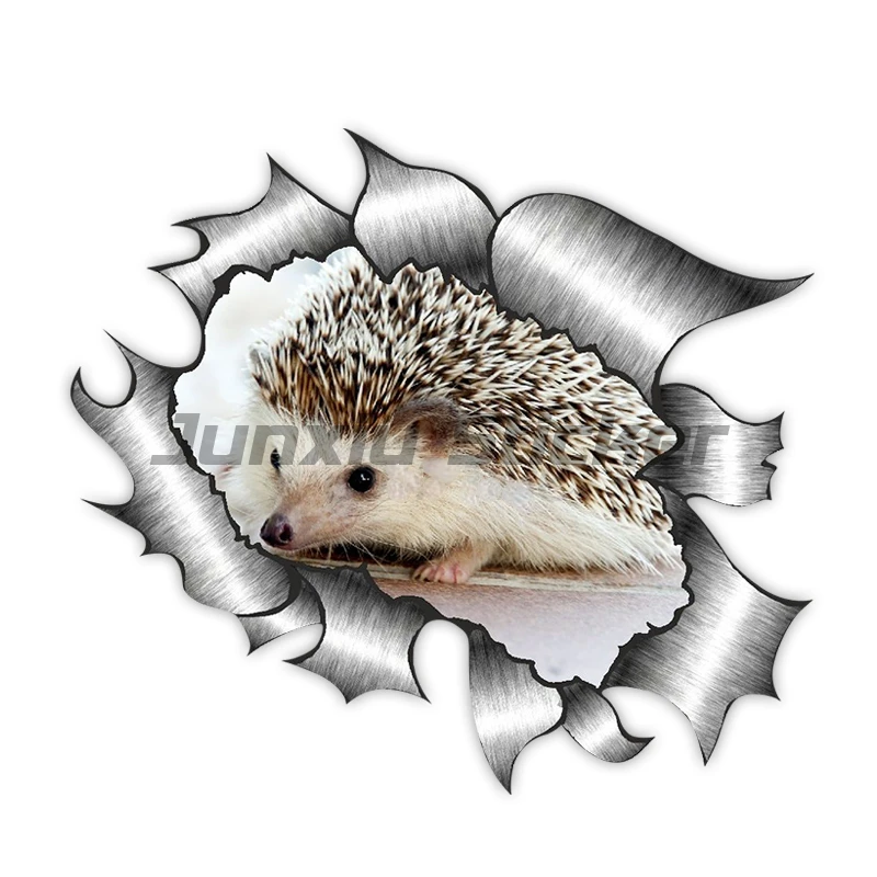 3D Hedgehog Funny Vinyl Car Stickers Truck RV Van JDM Car Accessories Anime Comic Decal