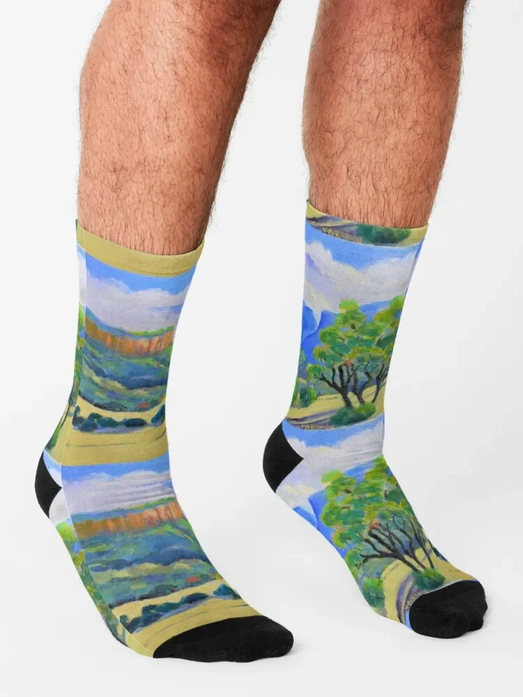 Old Bonalbo Country NSW #2 Socks short gift Designer Man Socks Women\'s