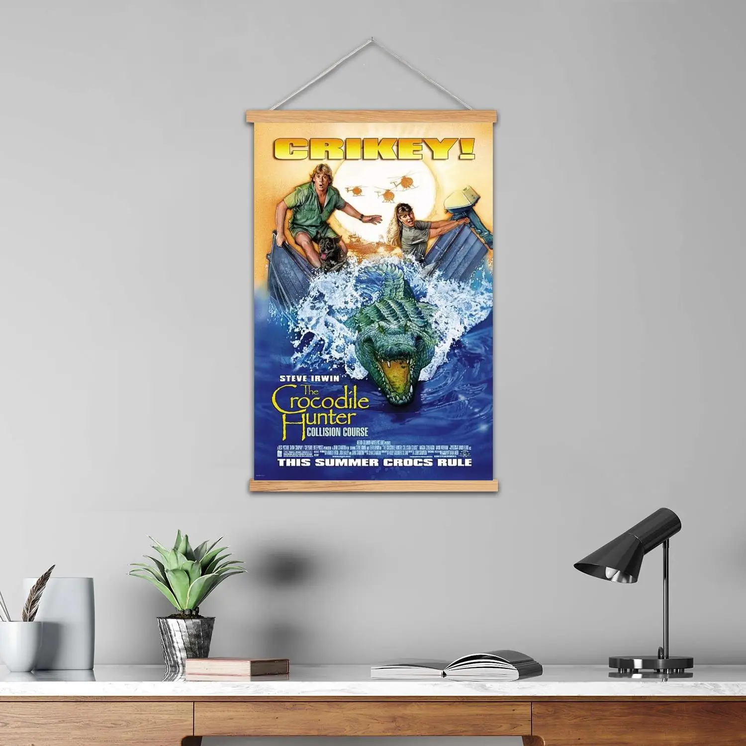 ستيف اروين مضيف التلفزيون مؤطرة جدار اللوحة قماش ملصق فني و جدار الفن الحديث الأسرة ديكور غرفة نوم الملصقات ، اللوحة الزخرفية