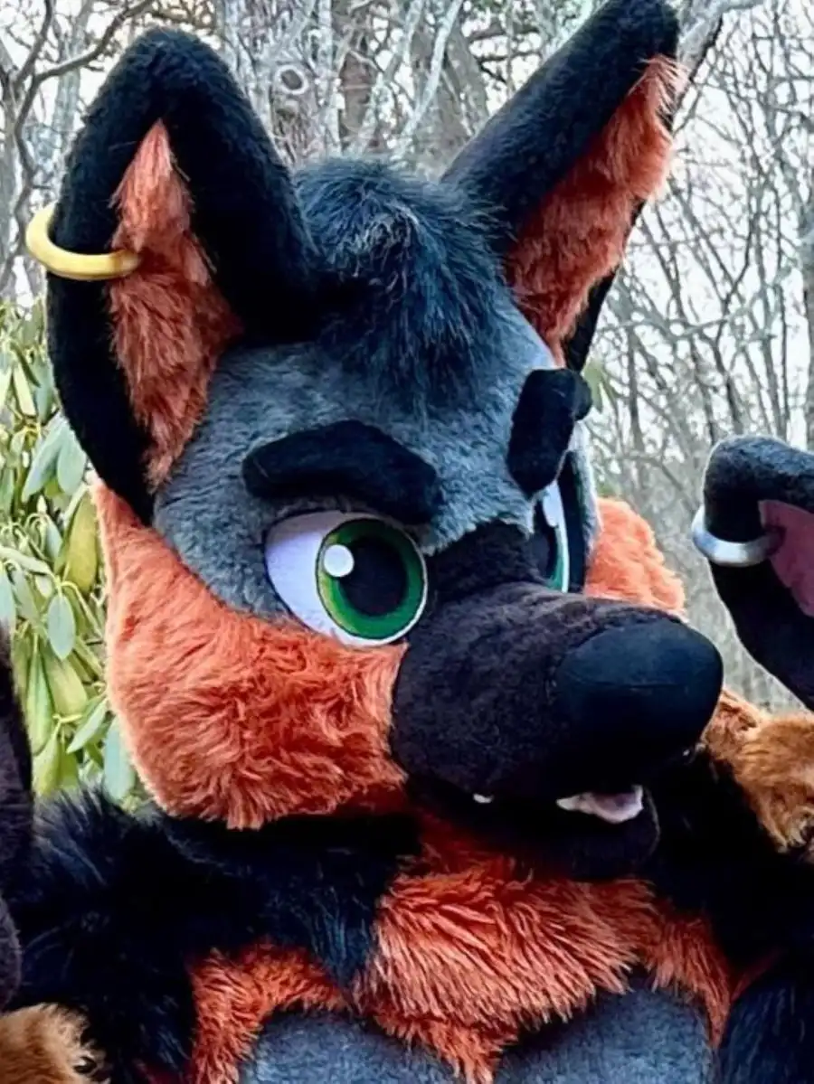 Schäferhund Fursuit Kopf Handpfoten Handschuhe Langhaar Husky Wolf Furry Fuchs Hund Maskottchen Kostüm Zubehör Erwachsene Party Requisiten