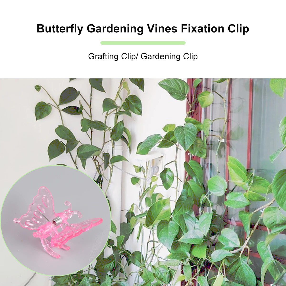 

30Pcs Orchid Clips Durable Garden Plant Support Fixed Clips for Flower Vine Bonsai Stem Holding Gardening Grafting Tools