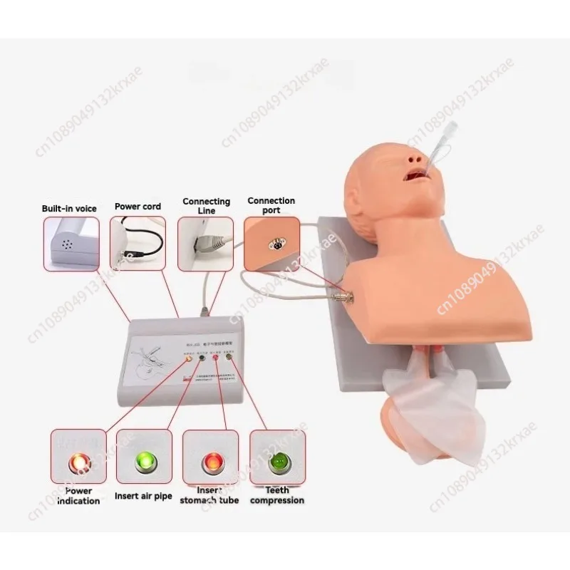 Teaching Model Human Body Electronic Endotracheal Intubation Simulation Airway With Teeth Pressure Equipment 1:1 Life Size