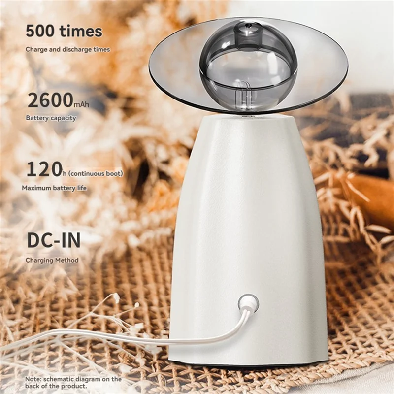 

RMWIN-Artistic LED Light Humidifier Noiseless Essential Oil Diffuser Night Light Atomizing Air Humidifier