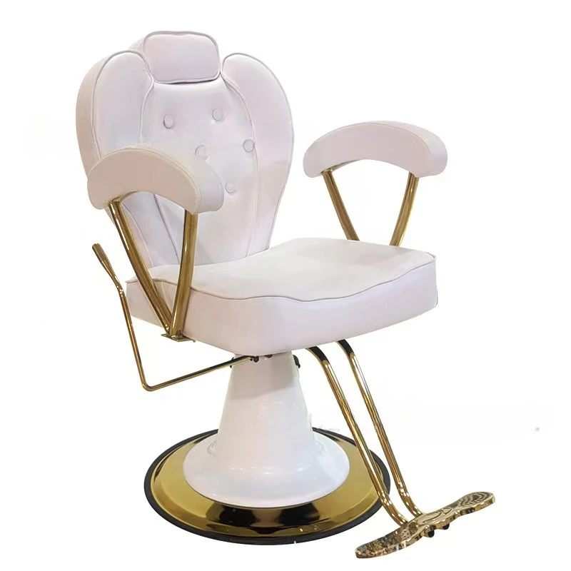 Salon Gold White Hydraulic Gold Pump Fancy Pink White Black Green Styling Barber Chair With Cover