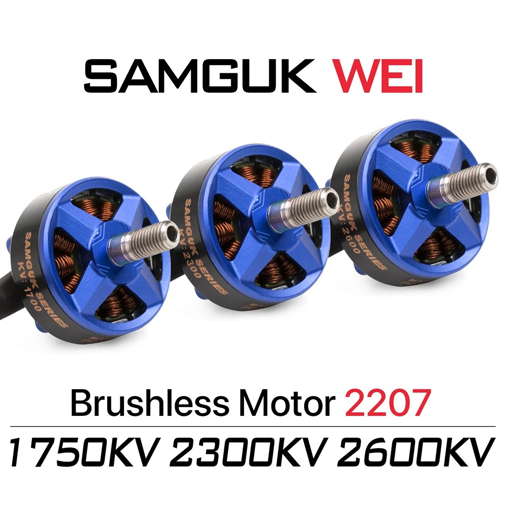 Dys Samguk Serie Wei 2207 Motore Brushless RC 1750KV 2300KV 2600KV 3-6S Per UAV FPV Racing Multi Wing Aircraft Crossing Machine