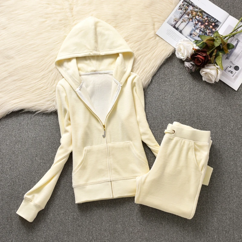 Velvet Tracksuit Women\'s Hooded Jacket and Pants Suit Spring Autumn Long Sleeve Velours Sportswear Two Piece Set