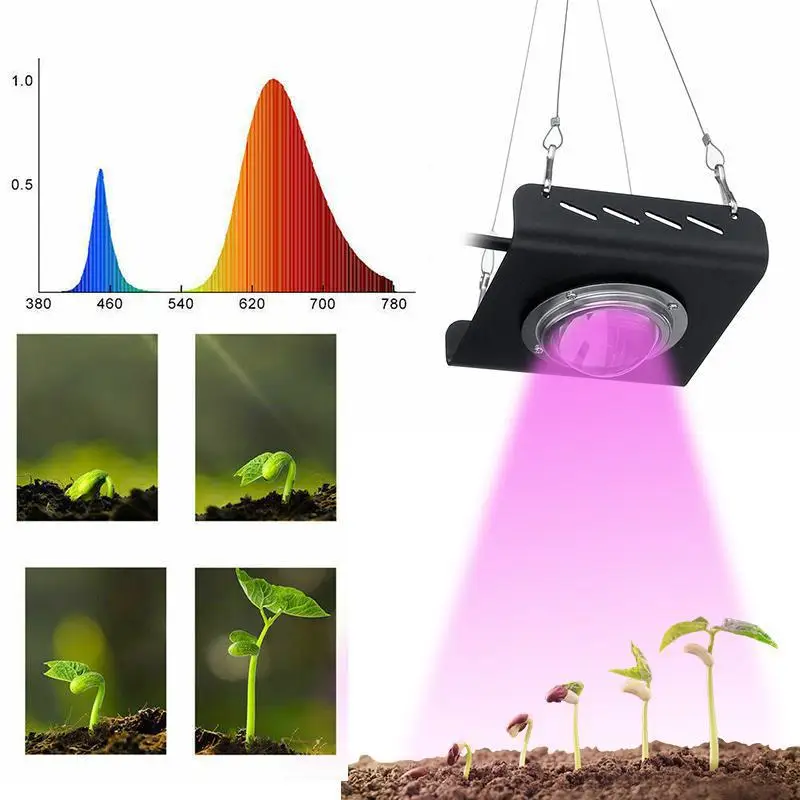 Full Spectrum COB LED Grow Light, Plant Growth Lighting For Indoor Plant and Succulent Flower Fill Light, Greenhouse, 50W