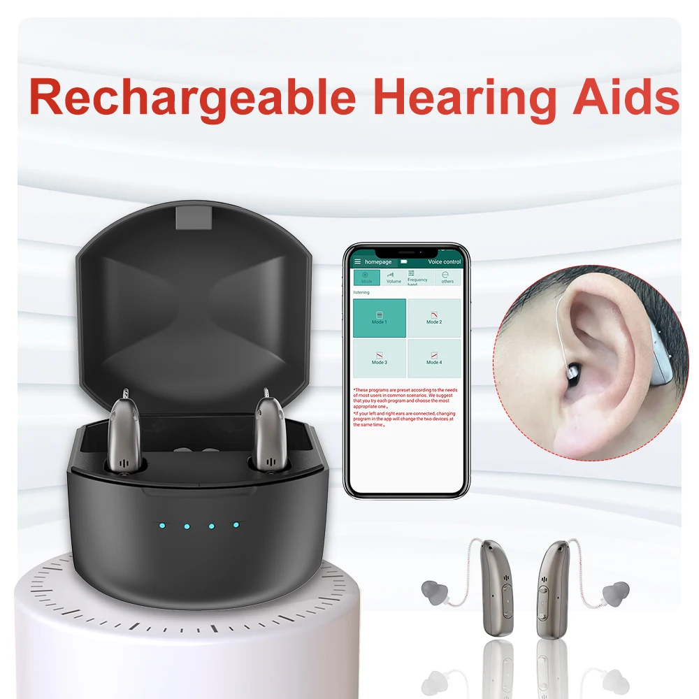 R03L1 Hearing Aids with Noise Cancellation 16 Channel High Quality Rechargeable Sound Amplifier for Elderly Comfortable to Wear