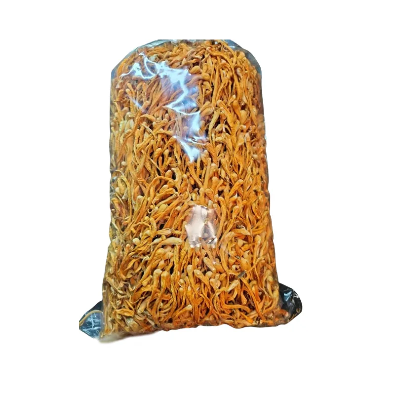 

Pure 100% Natural Yun Nan Dried Cordyceps Flower For Beauty Health Soap Wedding Candle Decorative DIY Mix Flower Material Making