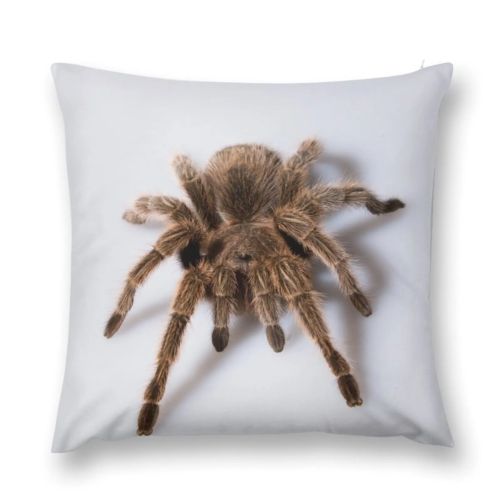 Tarantula Throw Pillow Decorative Cushion Cover Christmas Cushion For Home autumn decoration Pillow Case pillow