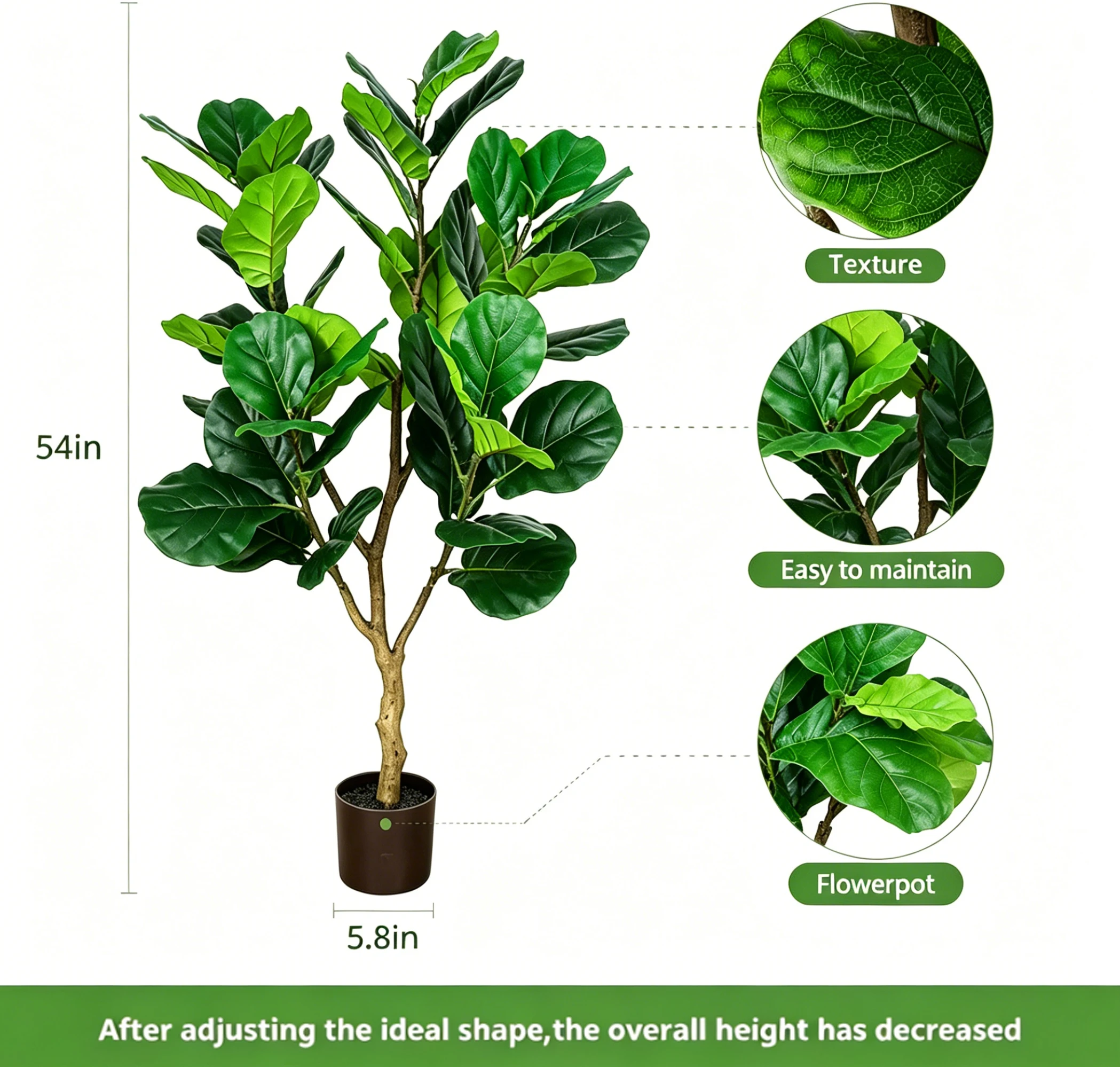 ต้นมะเดื่อใบแฉกประดิษฐ์ขนาด 13 - Ficus Lyrata Tree บทวิจารณ์และราคา