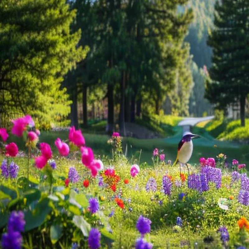 CADDX Walksnail Avatar HD Mini 1s Lite Kit 14X14mm كاميرا Avatar Lite لطائرات بدون طيار FPV Freestyle Tinywhoop Cinewhoop أجزاء ذاتية الصنع #6