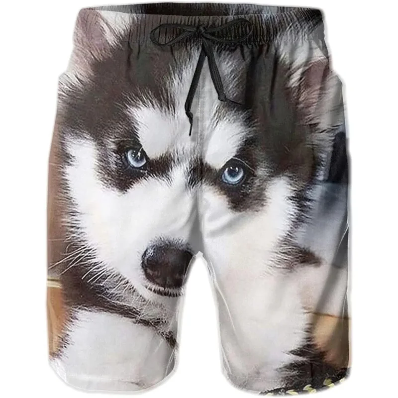 

Мужские шорты, пляжные шорты с 3D-принтом собаки Хаски, мужские гавайские шорты для плавания, спортивные спортивные шорты, повседневные шорты на шнурке для показа