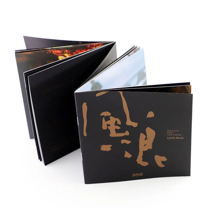 2023 подлинный альбом группы осенний влюбленный 2CD + книга с текстами