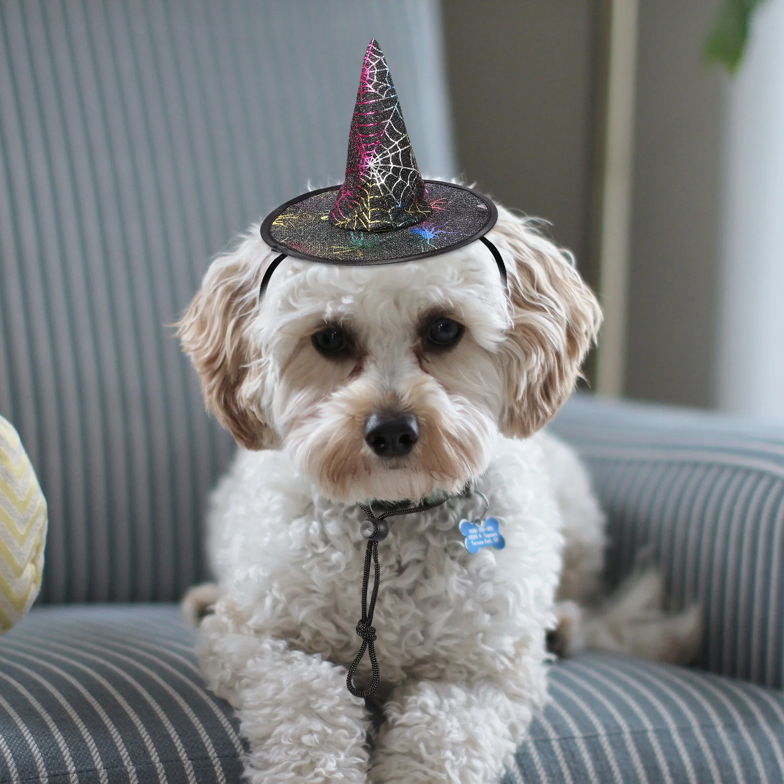 

2 Pcs Pet Party Hat Witch Dog Halloween Headgear Headdress Non-woven Fabric Hats Miss