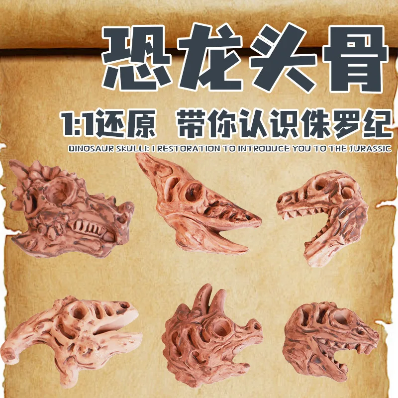 

6Pcs Simulation Jurassic Dinosaur Skull Ornaments Children Cognitive Archaeological Dinosaur Skull Fossil Model Toys