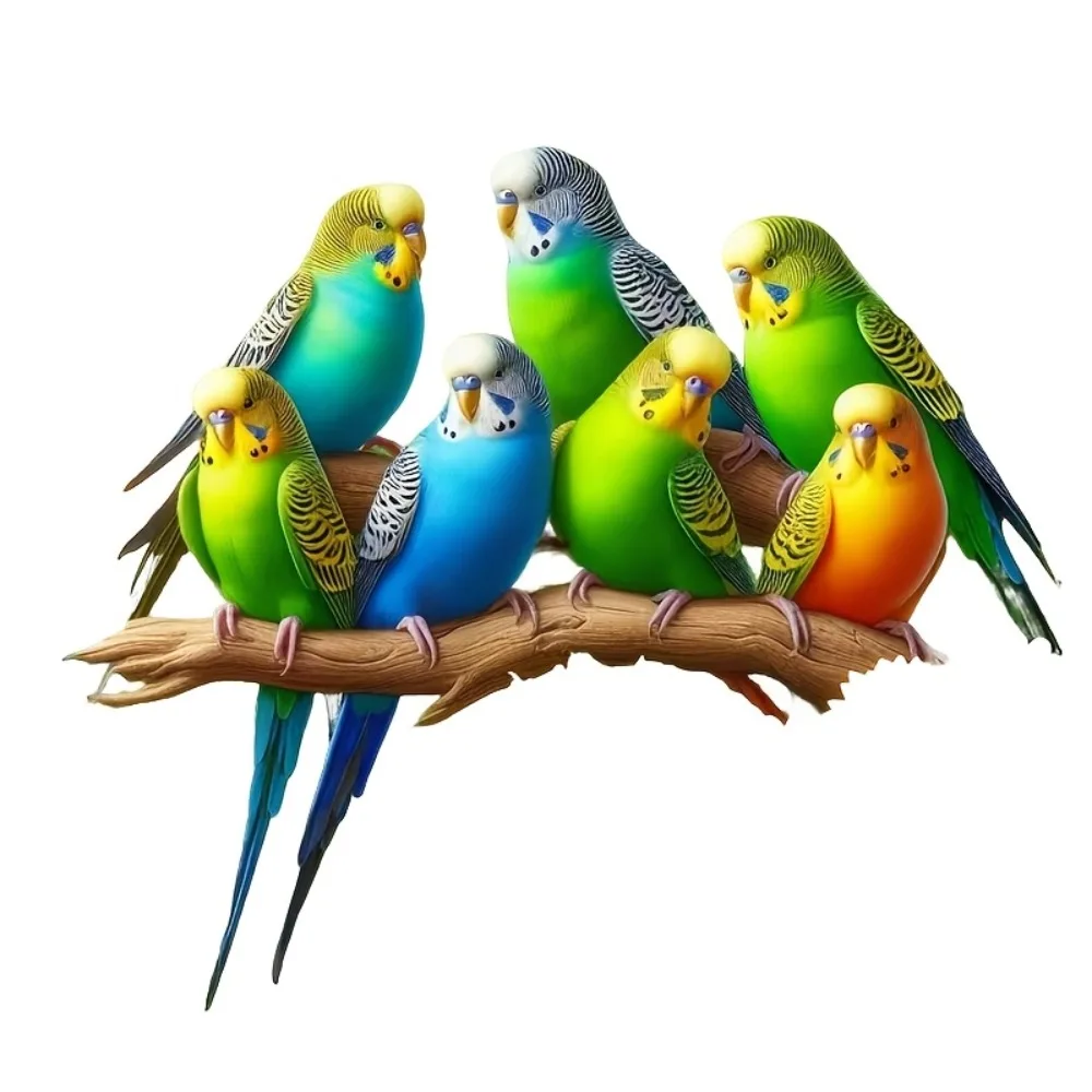 1 Cute Parrot Vinyl Sticker Suitable for Cars Trucks Motorcycles Windows Walls Self Adhesive Single Use Can Be Attached to