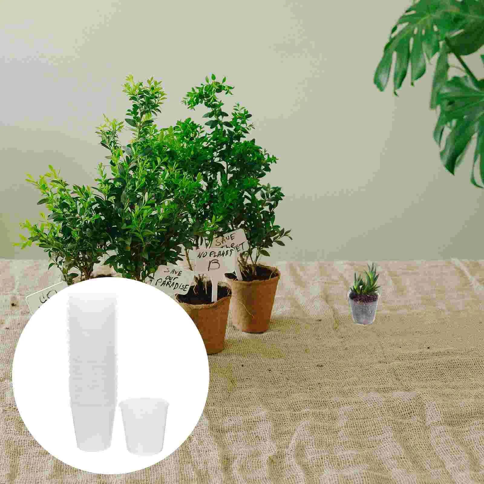 

50 Pcs Nursery Cup Plant Pots for Plants Flower Transparent Basin Plastic Pp Clear with Drainage Orchid