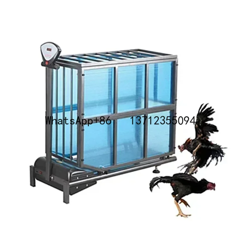 

WT-J100 Animal Sports High Quality Fight Cock Electric Treadmill Pet Dog/Cat Training
