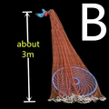B60