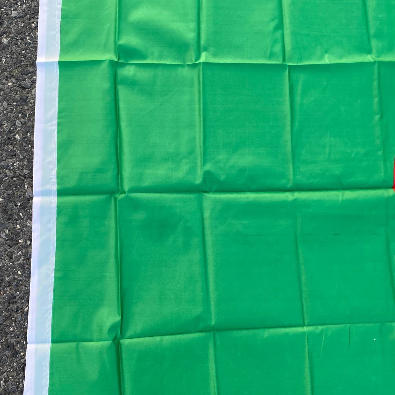 aerlxemrbrae flag  90*150cm  The Algeria Flag Polyester Flag 5*3 FT  High Quality