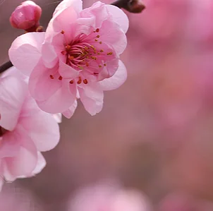 20 قطعة مغلفات فقاعة حقيبة مقاوم للماء رغوة بيضاء فقاعة البريدية أكياس مغلف الشحن رغوة الذاتي ختم أكياس التعبئة حجم كبير