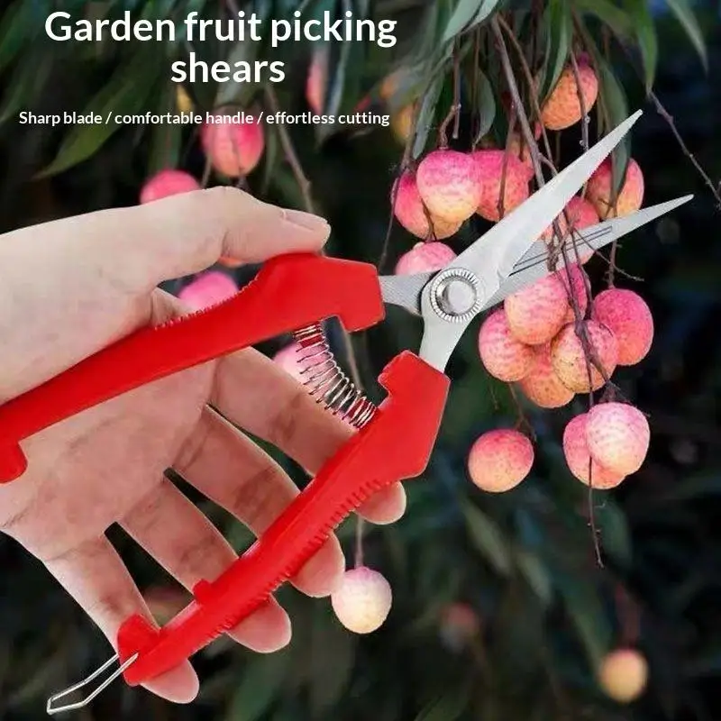 Garden Pruning Shears With Sharp Stainless Steel Blades Non Slip Red Handles Perfect For Orchard Gardening Fruit Thinning Work