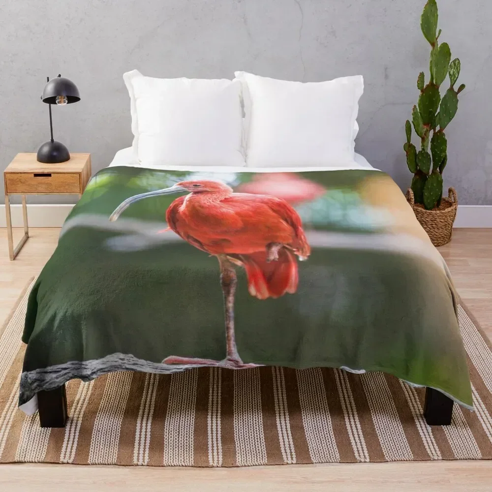

Tropical Scarlet Ibis Throw Blanket Outdoor Soft Blanket for Picnic Beach Camping