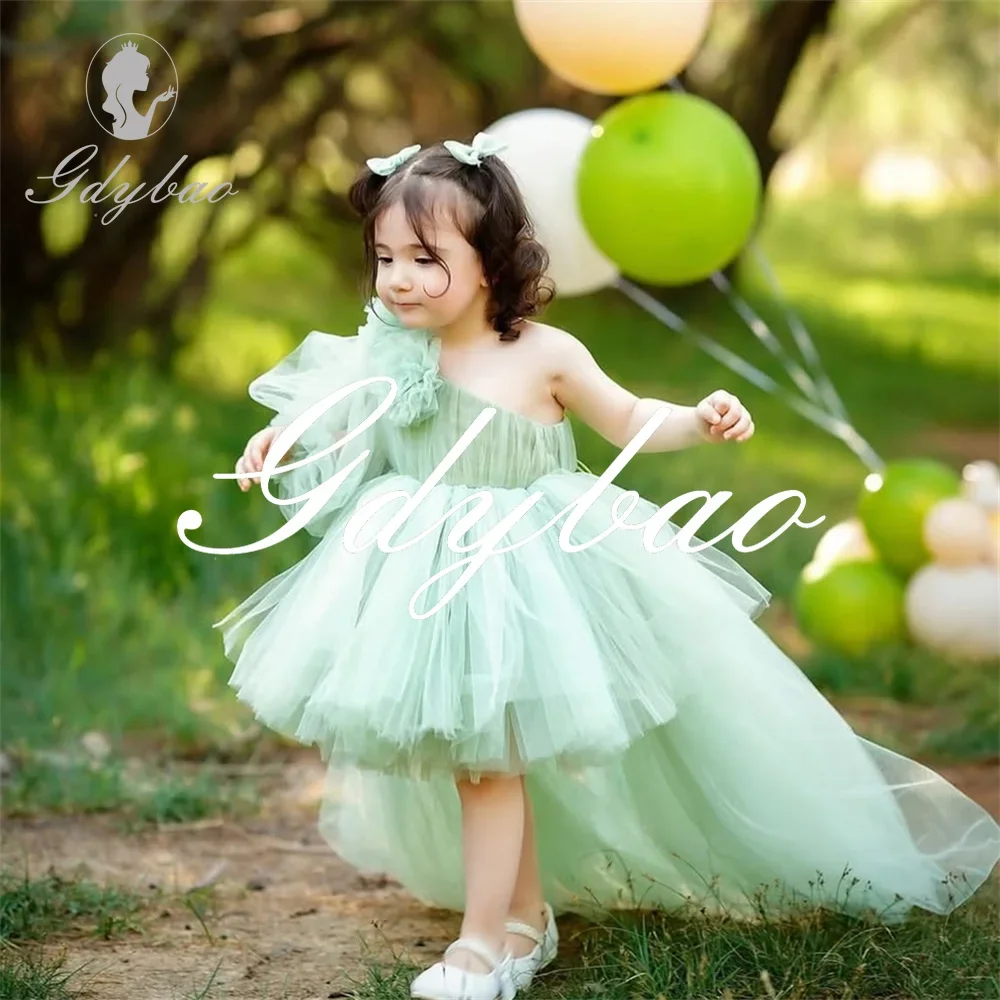 

Girls Princess Dress Kids Party Gown Floral Embroidered Tulle Dress Off Shoulder Butterfly Sleeve Formal Occasion Costume