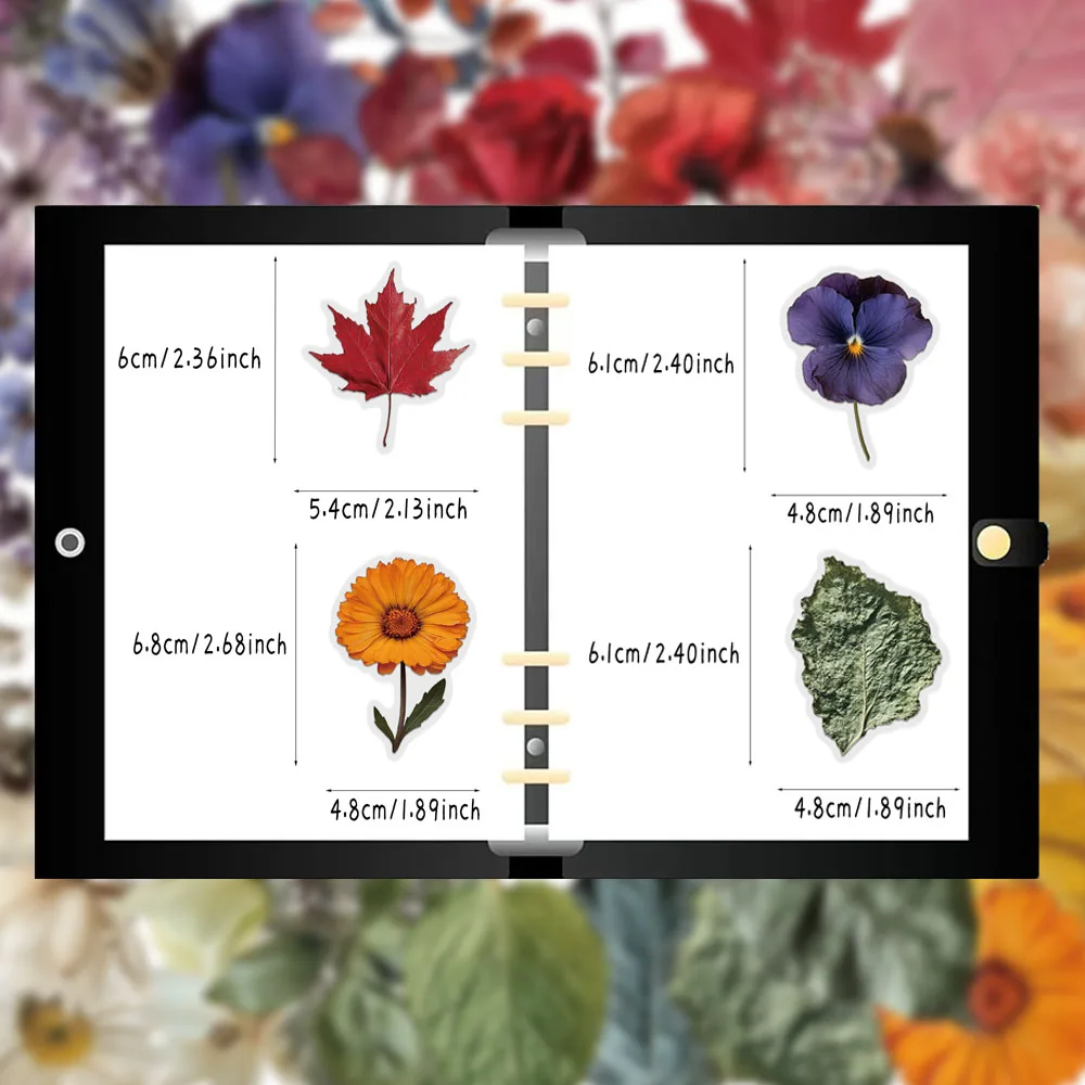 50PCS Creative Plant Specimen PET Transparent Material Stickers Envelope Sealing Stickers Mobile Phone Case Decorative Stickers