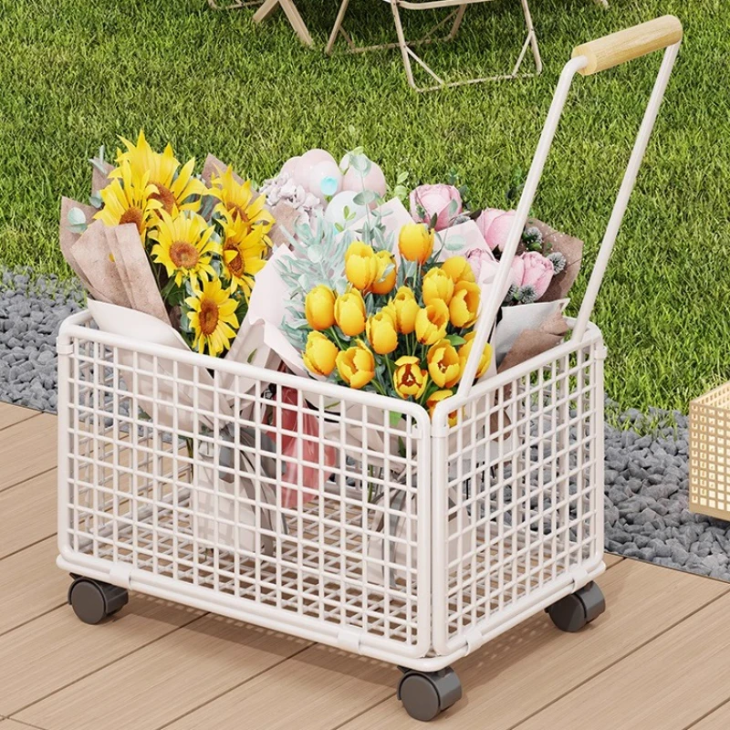 

Portable Market Trolley Compact Retractable Stand for Outdoor Events with Dual Brakes Rust-Proof Frame Storage Basket