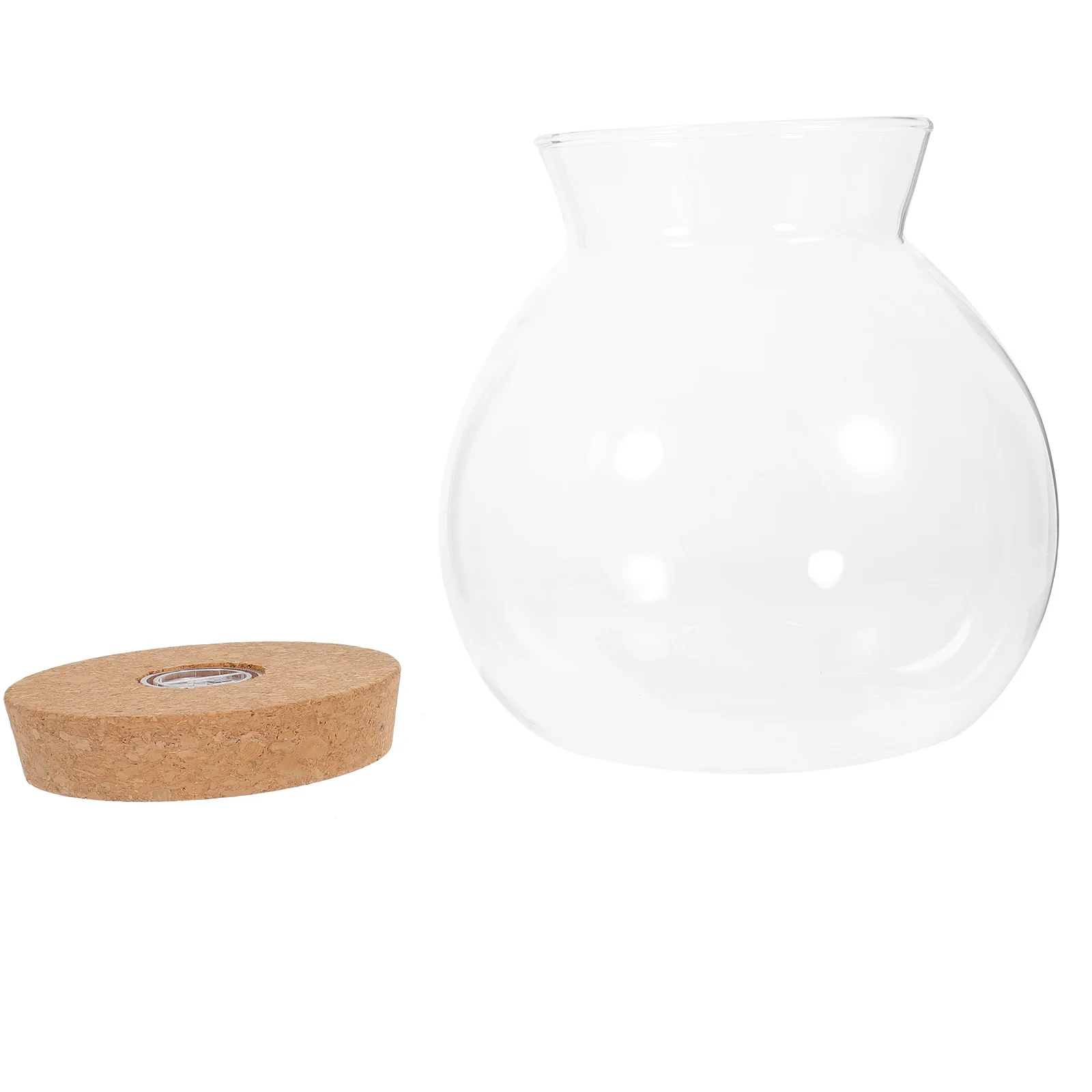 

Led Light Ecological Bottle Transparent Borosilicate Glass Diy Micro Landscape Holder For Home Decor Mini Aquarium