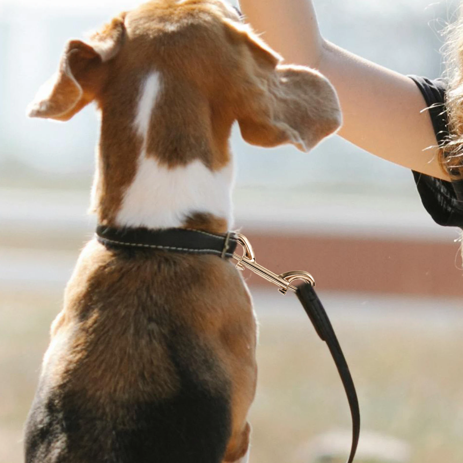 

10Pcs Heavy Duty Dog Leash Snap Hooks Zinc Alloy Double Ended Snap Clips Quick Connect Buckle Metal Clips for Pet Leash Supplies