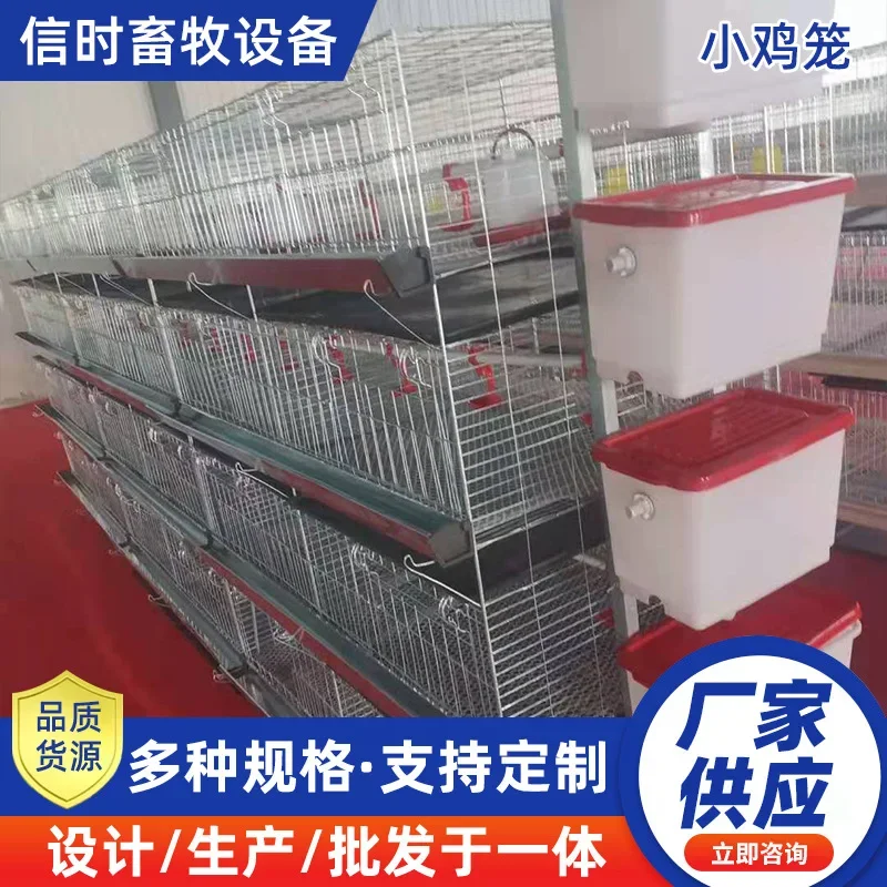 Customized chick brooding cage bold encryption chick breeding cage 4 layers 4 doors chick dewarming cage automation equipment