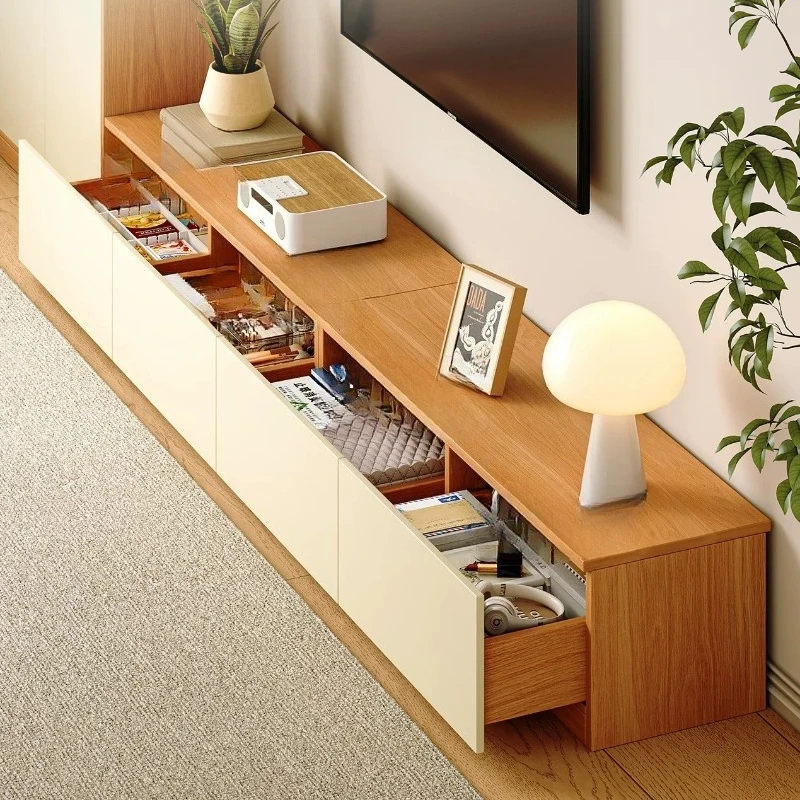 Minimalist Nordic Tv Stands Organizer Storage Designer Luxury Tv Stands Mid Century Display Suporte Para Tv Trendy Furniture